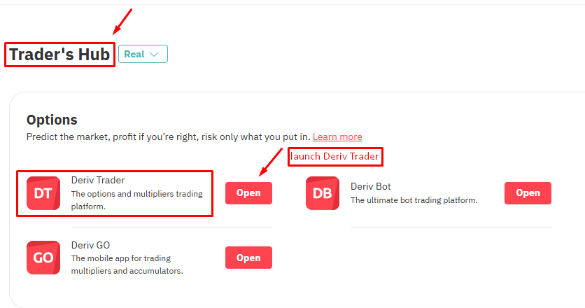 Deriv Traders Hub